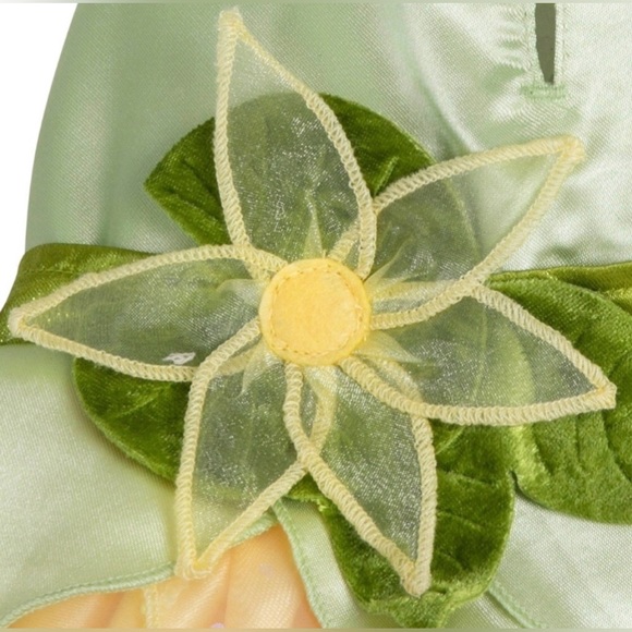 NWT Disney Tails pet halloween costume Princess and the Frog size large - Picture 3 of 5